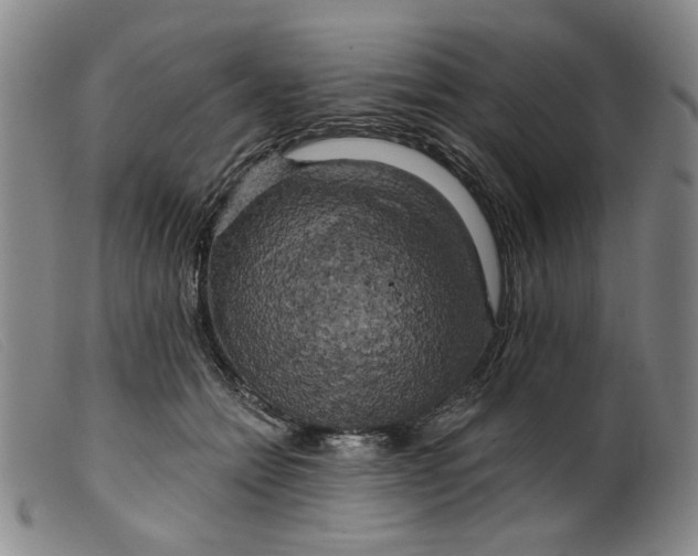 X0000099450558200805231744