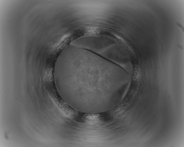 X0000099450560200805231744