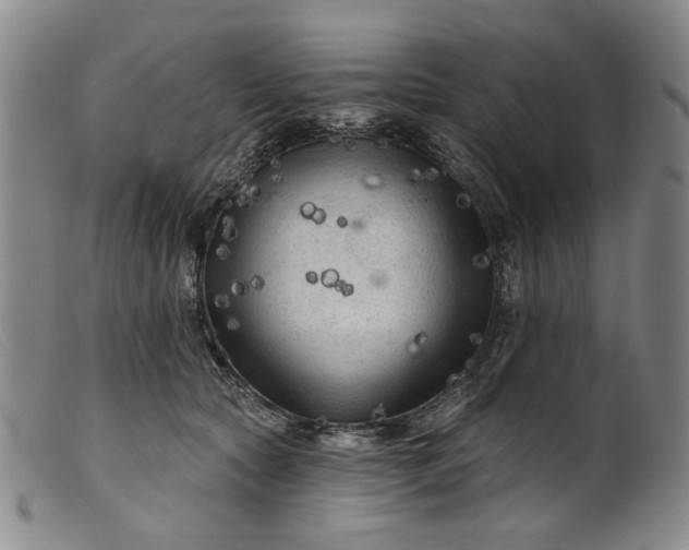 X0000099450561200805231744