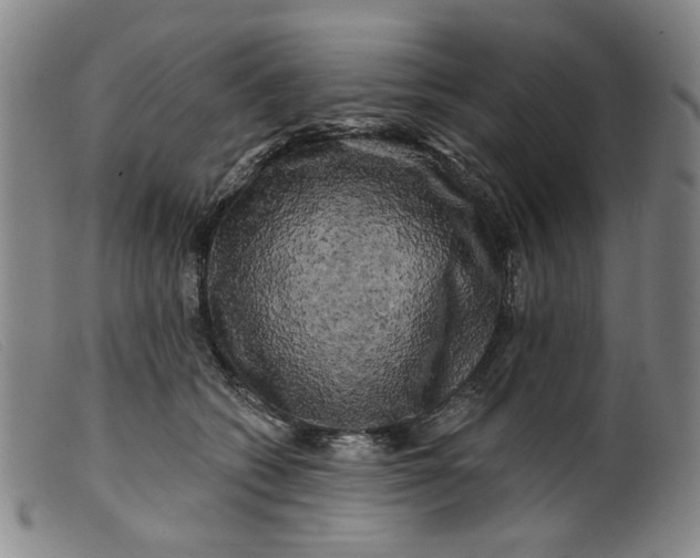 X0000099450562200805231744