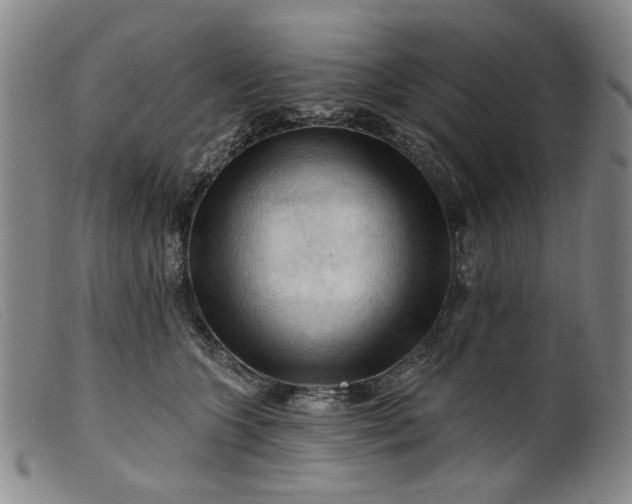 X0000099450563200805231744