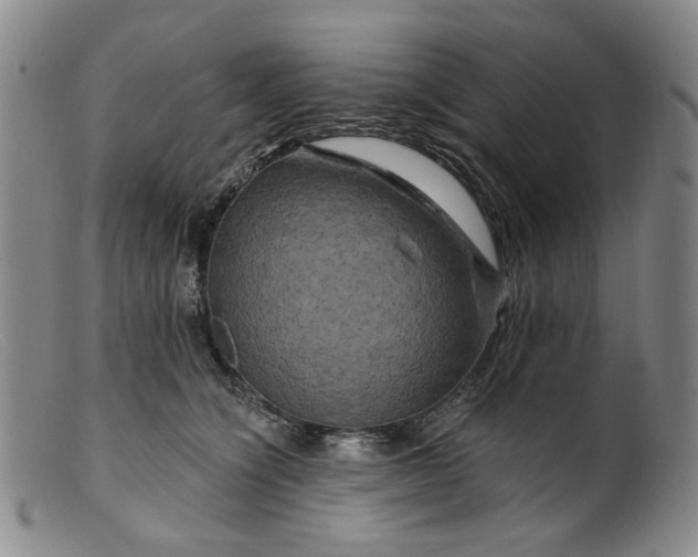 X0000099450564200805231744