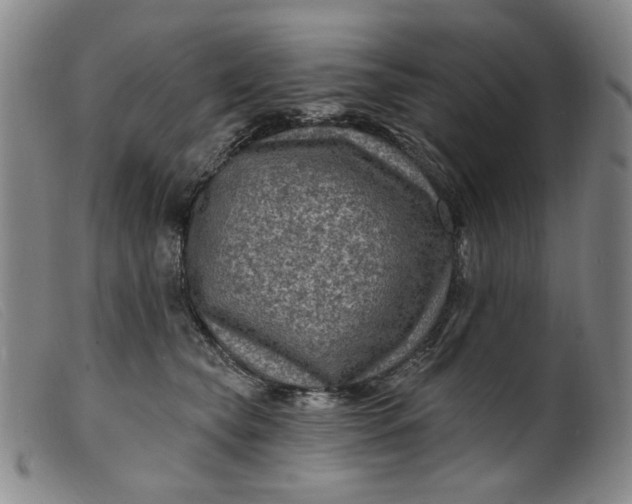 X0000099450565200805231744