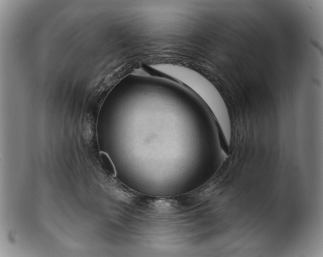 X0000099450566200805231744