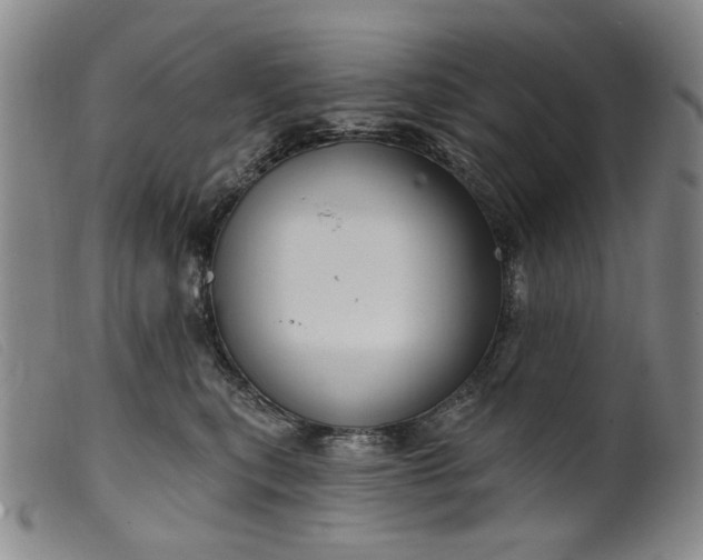 X0000099450567200805231744