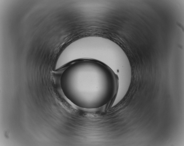 X0000099450568200805231744