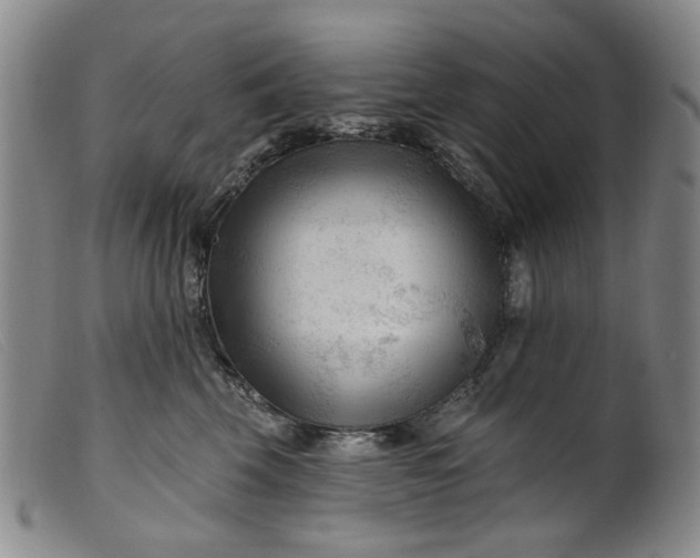 X0000099450569200805231744