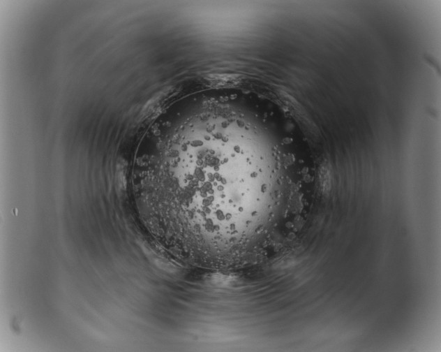 X0000099450570200805231744