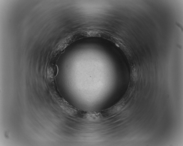 X0000099450571200805231744