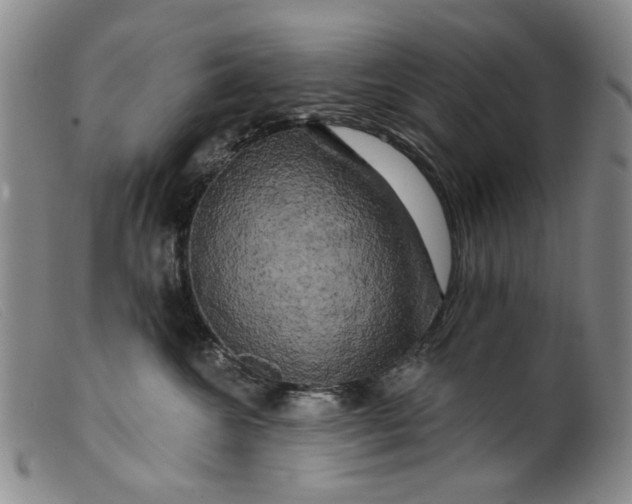 X0000099450572200805231744