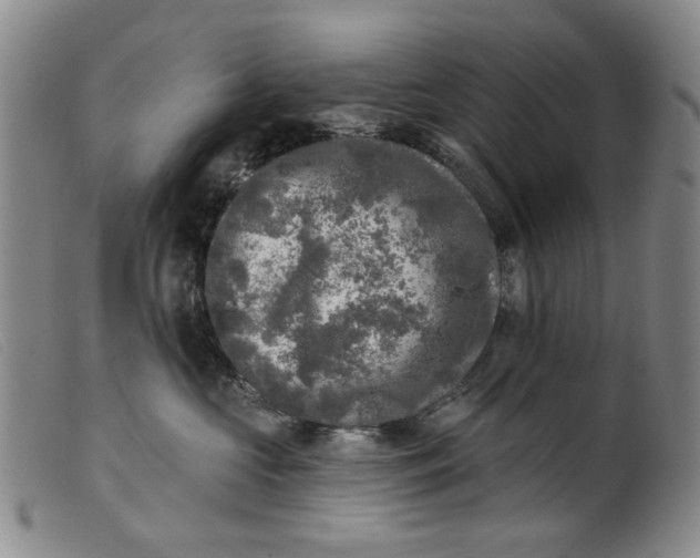 X0000099450573200805231744