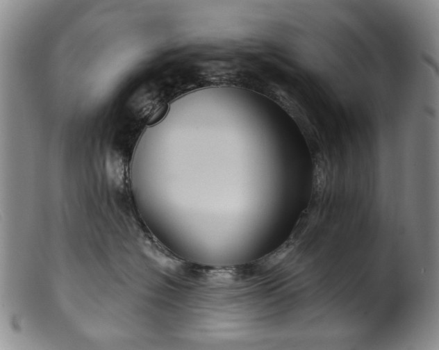 X0000099450574200805231744