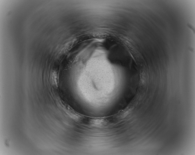 X0000099450575200805231744