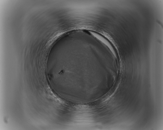 X0000099450577200805231743