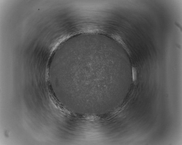 X0000099450579200805231743