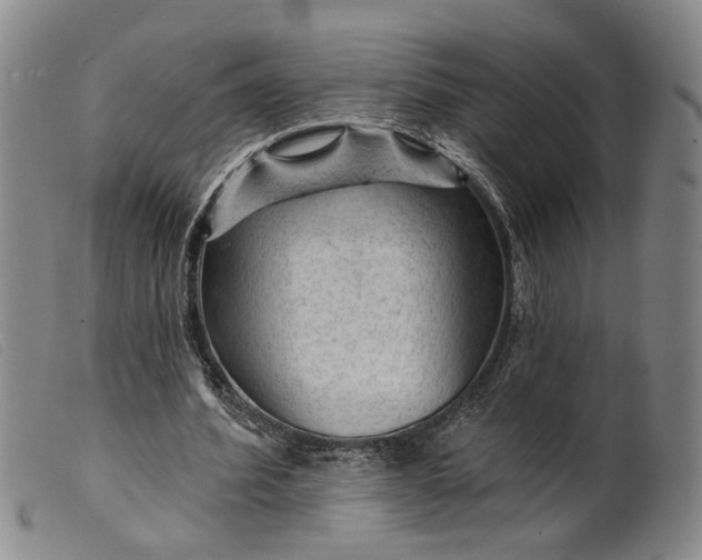 X0000099450580200805231743