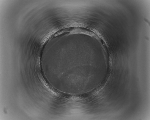 X0000099450581200805231743