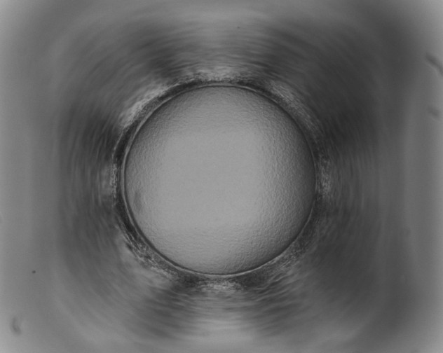 X0000099450583200805231743