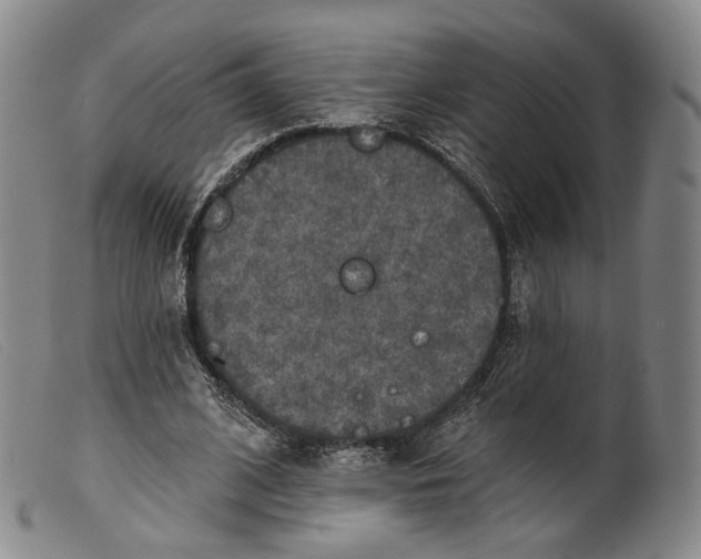 X0000099450584200805231743