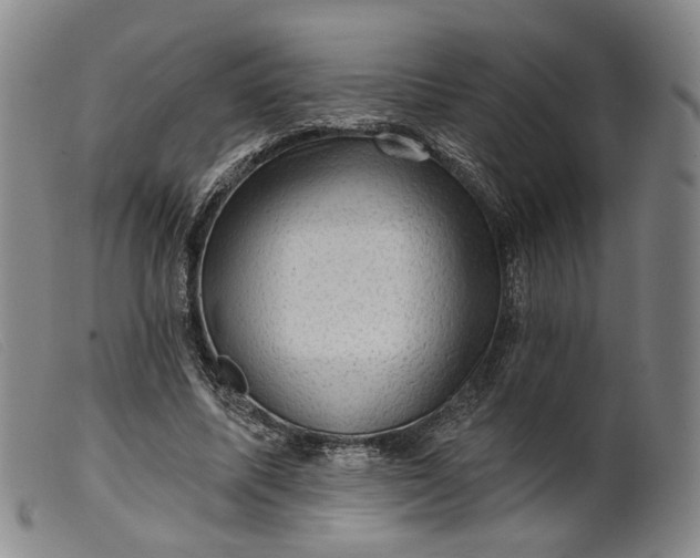 X0000099450587200805231743