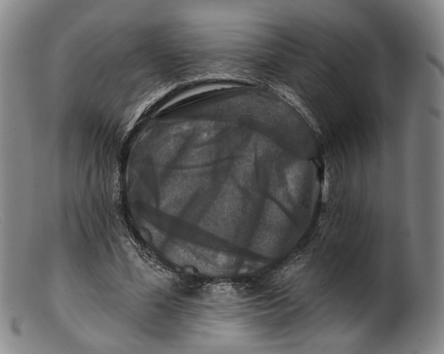 X0000099450588200805231743