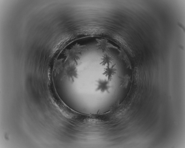 X0000099450590200805231743