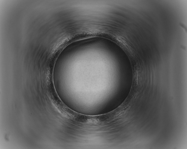 X0000099450591200805231743