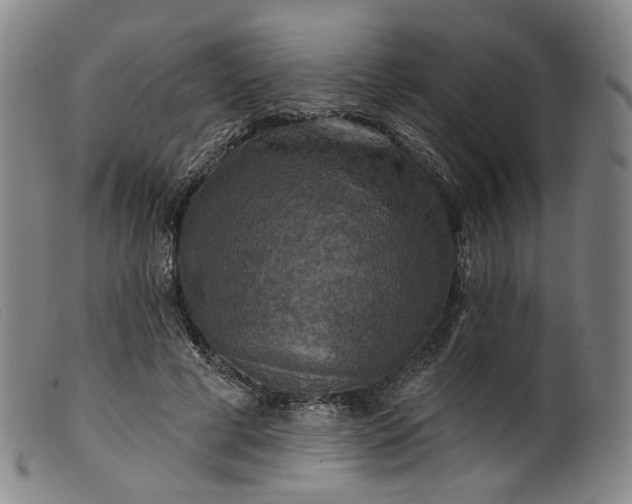 X0000099450593200805231743