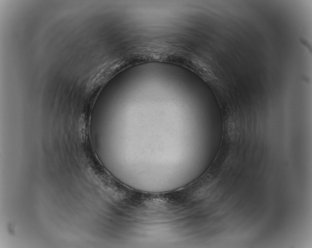 X0000099450594200805231743