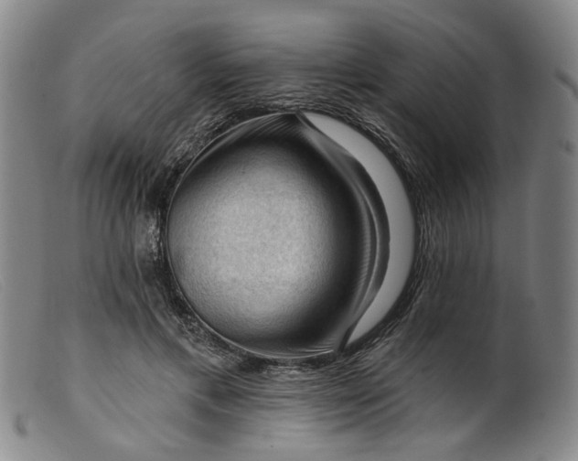 X0000099450597200805231743