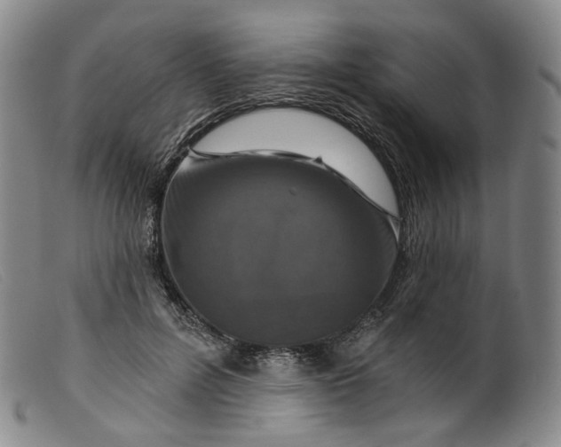 X0000099450600200805231743