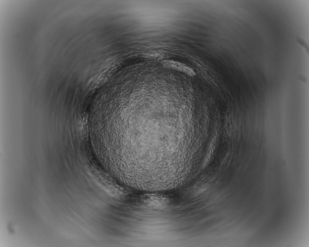 X0000099450601200805231743