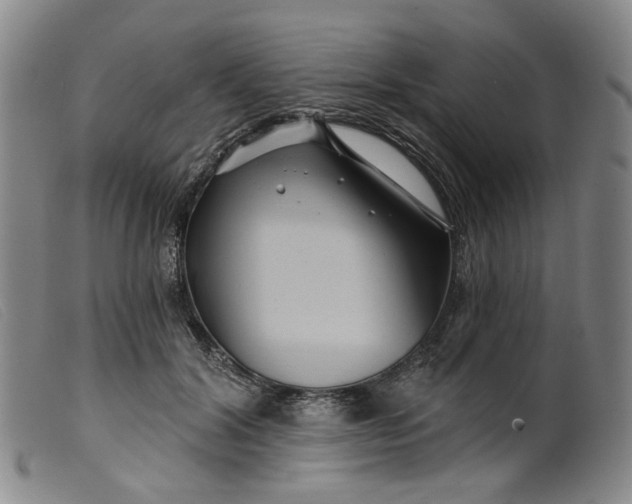 X0000099450604200805231743