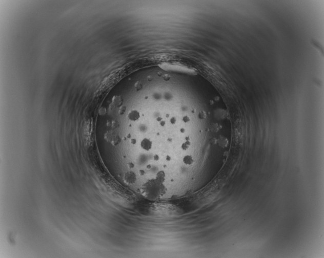 X0000099450605200805231743