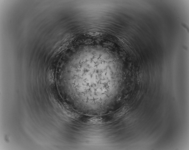 X0000099450606200805231743