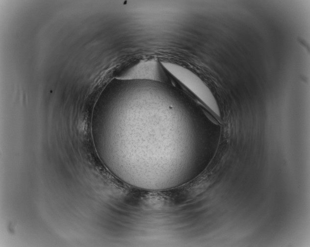 X0000099450608200805231743