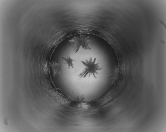 X0000099450610200805231743