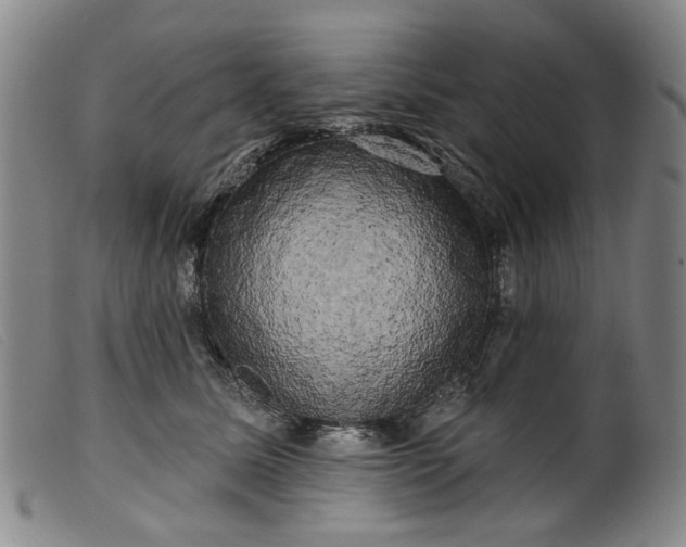 X0000099450611200805231743