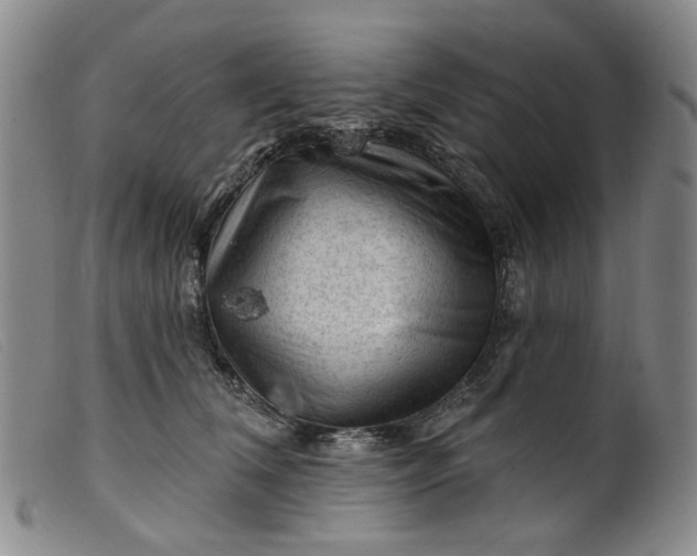 X0000099450612200805231743