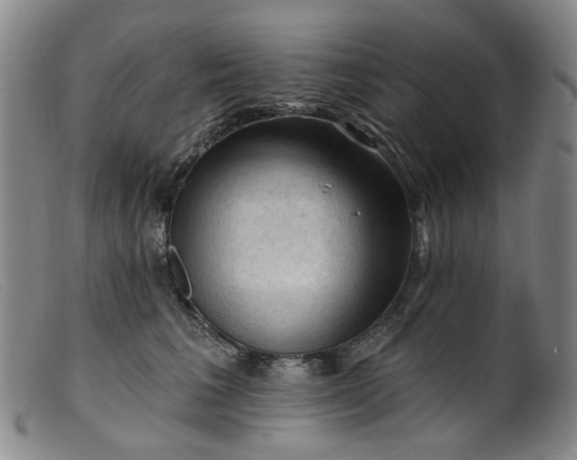 X0000099450613200805231743