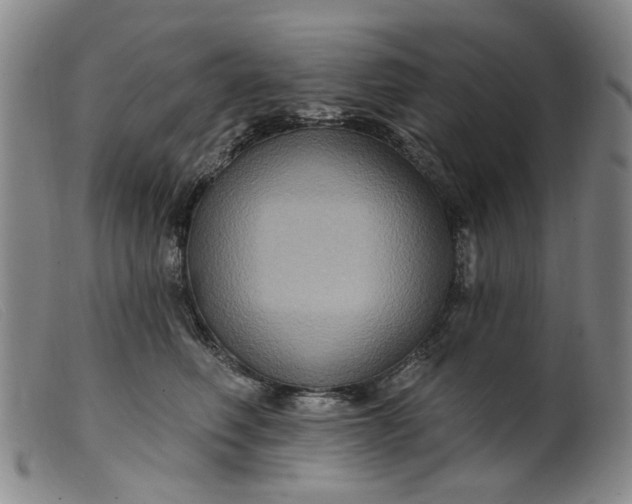 X0000099450614200805231743