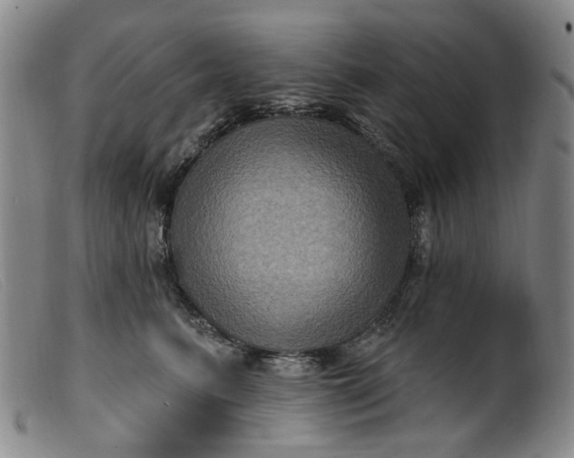 X0000099450615200805231743