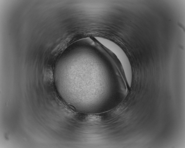 X0000099450617200805231743