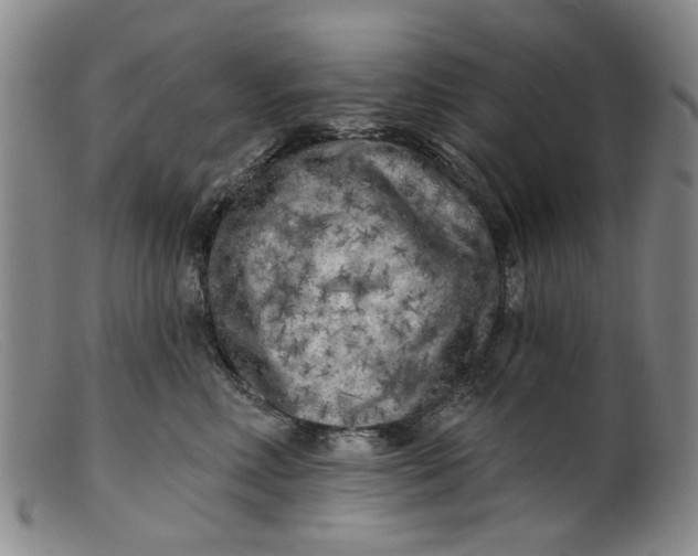 X0000099450618200805231743