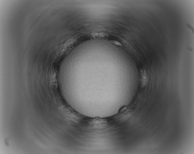 X0000099450619200805231743