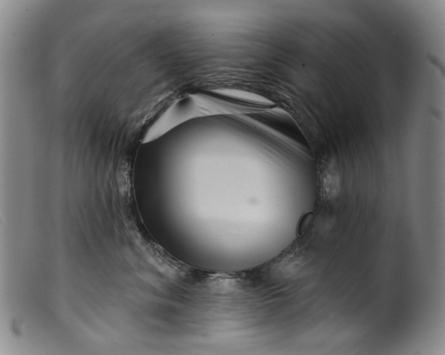 X0000099450620200805231743