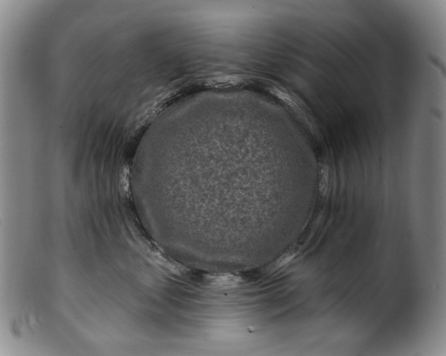 X0000099450621200805231743