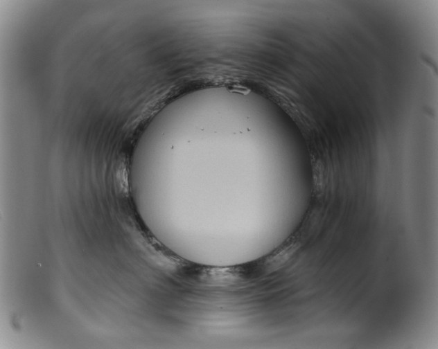 X0000099450622200805231743