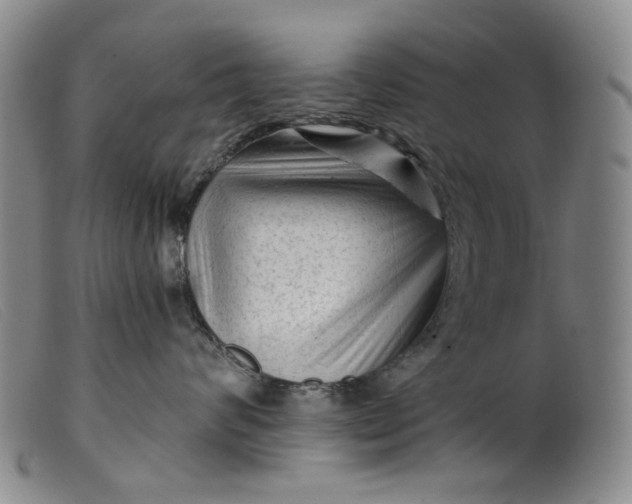 X0000099450624200805231743