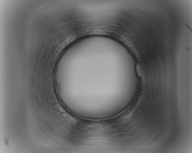 X0000099450625200805231742